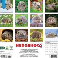 Willow Creek 2025 Hedgehogs 12" x 12" Monthly Wall Calendar (43332) Discount