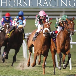 Willow Creek 2025 Horse Racing 12" x 12" Monthly Wall Calendar (43363) New