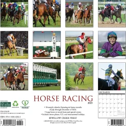 Willow Creek 2025 Horse Racing 12" x 12" Monthly Wall Calendar (43363) New