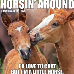 Willow Creek 2025 Horsin’ Around 12" x 12" Monthly Wall Calendar (43394) Discount