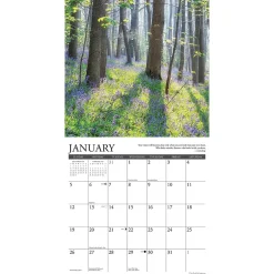 Willow Creek 2025 Inspirations 12