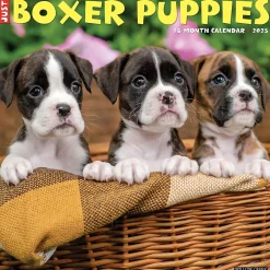 Willow Creek 2025 Just Boxer Puppies 12" x 12" Monthly Wall Calendar, Multicolor (41932) New