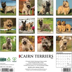 Willow Creek 2025 Just Cairn Terriers 12" x 12" Monthly Wall Calendar (42083)