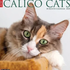 Willow Creek 2025 Just Calico Cats 12" x 12" Monthly Wall Calendar (42090) Discount