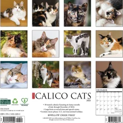 Willow Creek 2025 Just Calico Cats 12" x 12" Monthly Wall Calendar (42090) Discount
