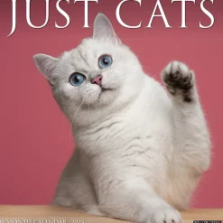 Willow Creek 2025 Just Cats 12" x 12" Monthly Wall Calendar (42236) Best