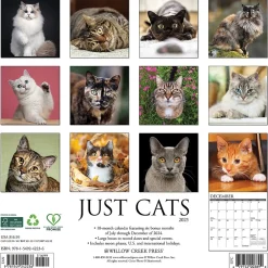 Willow Creek 2025 Just Cats 12" x 12" Monthly Wall Calendar (42236) Best