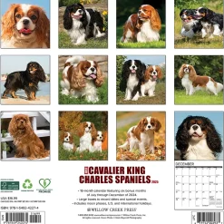 Willow Creek 2025 Just Cavalier King Charles Spaniels 12" x 12" Monthly Wall Calendar (42274) Sale