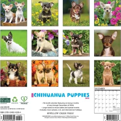 Willow Creek 2025 Just Chihuahua Puppies 12" x 12" Monthly Wall Calendar (42304) Online