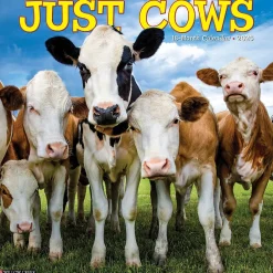 Willow Creek 2025 Just Cows 12" x 12" Monthly Wall Calendar (42625) Hot