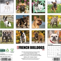 Willow Creek 2025 Just French Bulldogs 12" x 12" Monthly Wall Calendar (42953) Discount