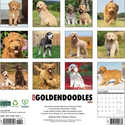 Willow Creek 2025 Just Goldendoodles 12" x 12" Monthly Wall Calendar (43127) Discount