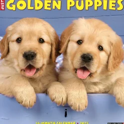 Willow Creek 2025 Just Golden Puppies 12" x 12" Monthly Wall Calendar (43097) New