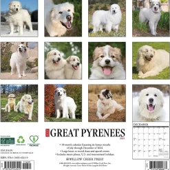 Willow Creek 2025 Just Great Pyrenees 12" x 12" Monthly Wall Calendar (43219) Online