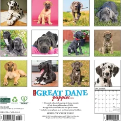 Willow Creek 2025 Just Great Dane Puppies 12" x 12" Monthly Wall Calendar (43189) New