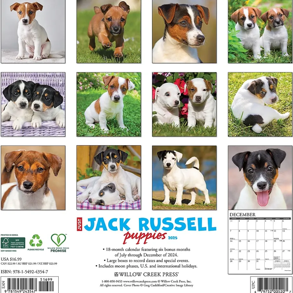 Willow Creek 2025 Just Jack Russell Puppies 12" x 12" Monthly Wall Calendar (43547) Sale