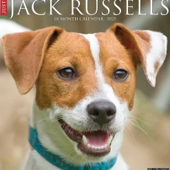 Willow Creek 2025 Just Jack Russells 12" x 12" Monthly Wall Calendar (43554) Online