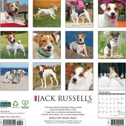 Willow Creek 2025 Just Jack Russells 12" x 12" Monthly Wall Calendar (43554) Online