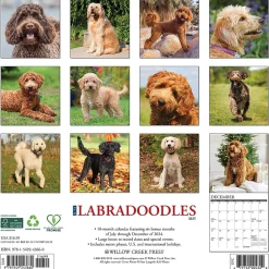 Willow Creek 2025 Just Labradoodles 12" x 12" Monthly Wall Calendar (43660)