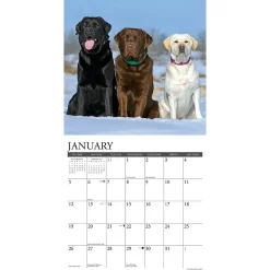 Willow Creek 2025 Just Labs 12