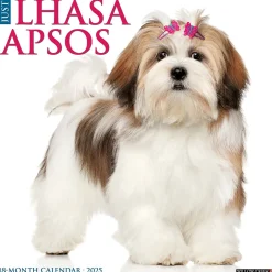 Willow Creek 2025 Just Lhasa Apsos 12" x 12" Monthly Wall Calendar (43707)