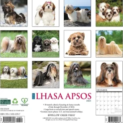 Willow Creek 2025 Just Lhasa Apsos 12" x 12" Monthly Wall Calendar (43707)