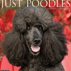 Willow Creek 2025 Just Poodles 12" x 12" Monthly Wall Calendar (44520) Sale