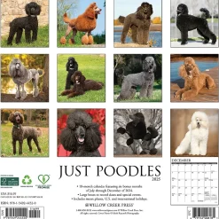 Willow Creek 2025 Just Poodles 12" x 12" Monthly Wall Calendar (44520) Sale