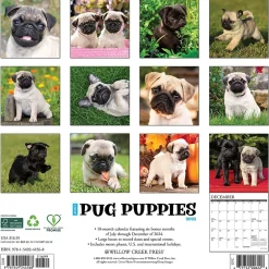 Willow Creek 2025 Just Pug Puppies 12" x 12" Monthly Wall Calendar (44568) New