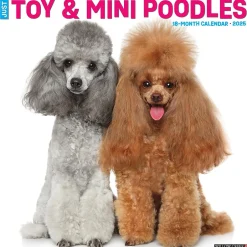 Willow Creek 2025 Just Toy and Miniature Poodles 12" x 12" Monthly Wall Calendar (45145) Clearance