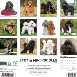 Willow Creek 2025 Just Toy and Miniature Poodles 12" x 12" Monthly Wall Calendar (45145) Clearance