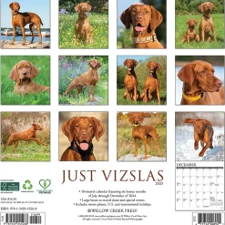 Willow Creek 2025 Just Vizslas 12" x 12" Monthly Wall Calendar (45268)