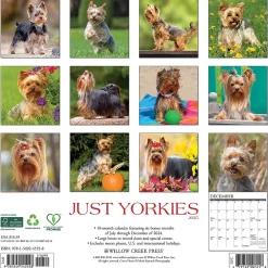 Willow Creek 2025 Just Yorkies 12" x 12" Monthly Wall Calendar (45558) Outlet