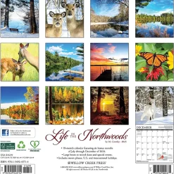 Willow Creek 2025 Life in the Northwoods 12" x 12" Monthly Wall Calendar (43714) Outlet