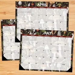 Willow Creek 2025 Mushrooms 22" x 17" Monthly Desk or Wall Calendar (47927) Clearance