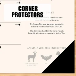 Willow Creek 2025 National Parks 17