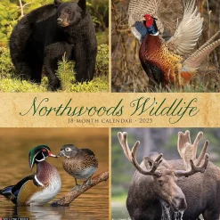 Willow Creek 2025 Northwoods Wildlife 12" x 12" Monthly Wall Calendar (44230) Sale