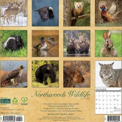 Willow Creek 2025 Northwoods Wildlife 12" x 12" Monthly Wall Calendar (44230) Sale