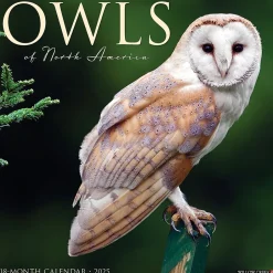 Willow Creek 2025 Owls 12" x 12" Monthly Wall Calendar (44315)