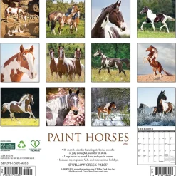 Willow Creek 2025 Paint Horses 12" x 12" Monthly Wall Calendar (44353) Discount