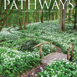 Willow Creek 2025 Pathways 12" x 12" Monthly Wall Calendar (44384) New