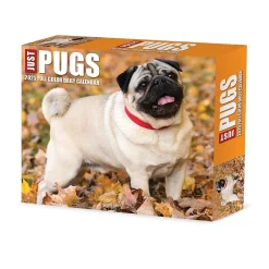 Willow Creek 2025 Pugs 6" x 5.5" Day-to-Day Calendar (40997) Best
