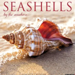Willow Creek 2025 Seashells 12" x 12" Monthly Wall Calendar (44797)