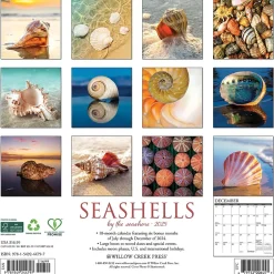 Willow Creek 2025 Seashells 12" x 12" Monthly Wall Calendar (44797)