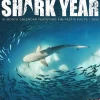 Willow Creek 2025 Shark Year 12" x 12" Monthly Wall Calendar (46609) New