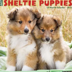 Willow Creek 2025 Sheltie Puppies 12" x 12" Monthly Wall Calendar (44834) Discount