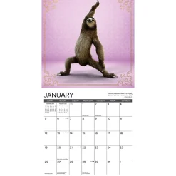 Willow Creek 2025 Sloth Yoga 12