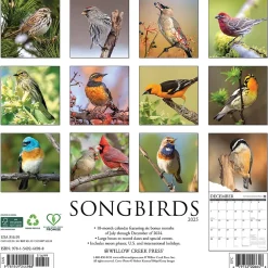 Willow Creek 2025 Songbirds 12" x 12" Monthly Wall Calendar (44988) Sale