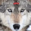 Willow Creek 2025 Spirit of the Wolf 12" x 12" Monthly Wall Calendar (45008) New