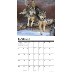 Willow Creek 2025 Spirit of the Wolf 12